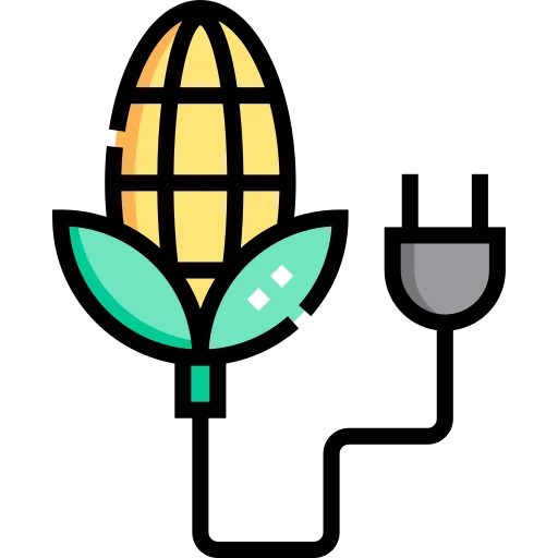 Biomass Energy